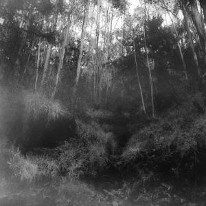 Seventhirtyatmorning的專輯suspiria (Explicit)