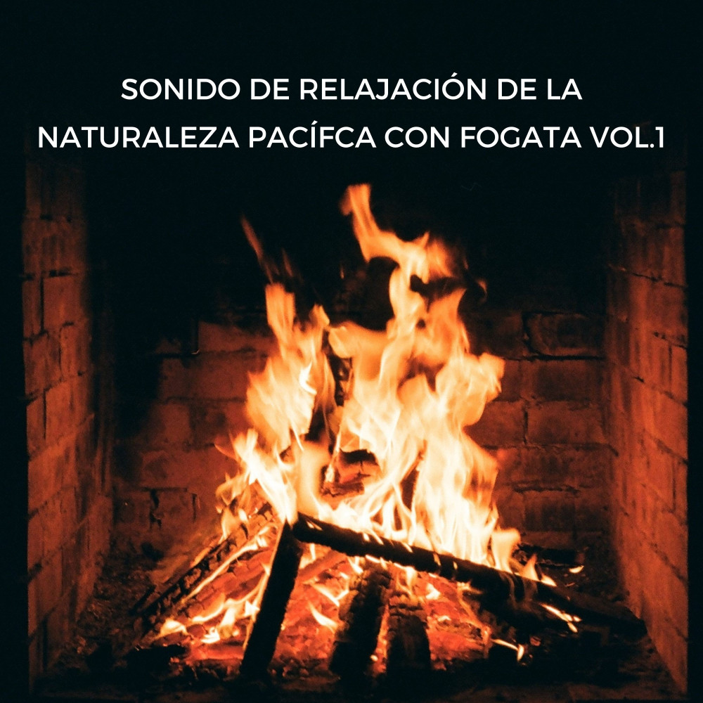 Estudia Con El Sonido Del Fuego De Fondo