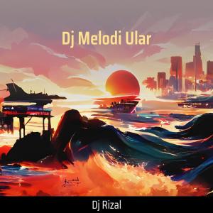 Dengarkan Dj Melodi Ular lagu dari DJ Rizal dengan lirik