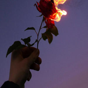 Yung Q的專輯Im missin you