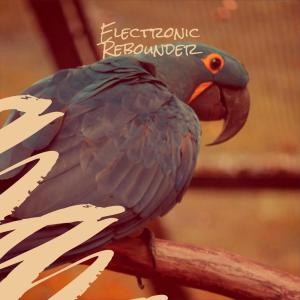 Electronic Rebounder dari Various