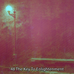 Ambient Forest的专辑48 The Key To Enlightenment