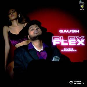 Album Flex from GAUSH