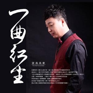 Listen to 为你把寂寞守成海 (伴奏) song with lyrics from 望海高歌