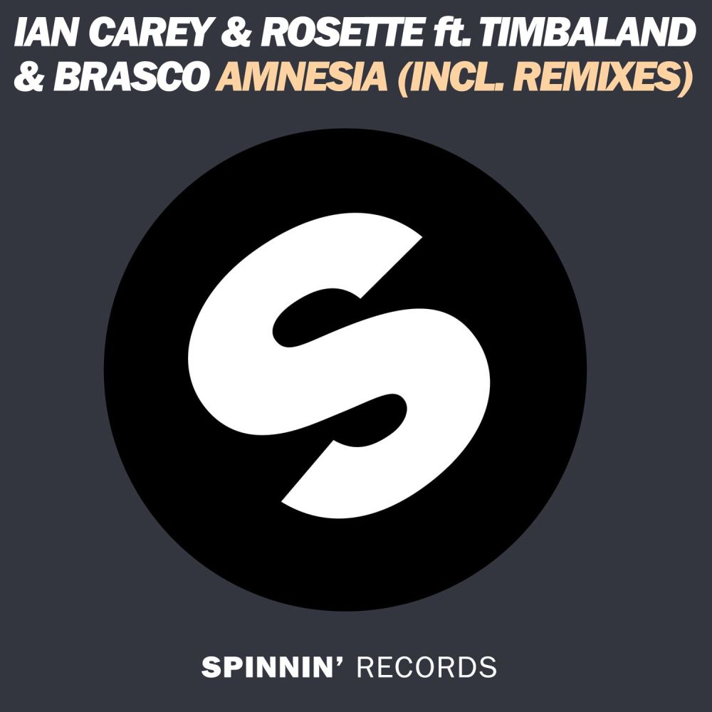 Amnesia (feat. Timbaland & Brasco) [Extended Mix] (Extended Mix)