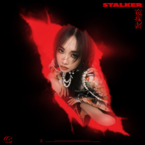 Listen to Stalker窥探者 song with lyrics from 王霏霏（Fei）