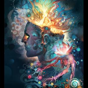 收聽The Human Experience的Follow My Bliss (feat. Autumn Skye)歌詞歌曲