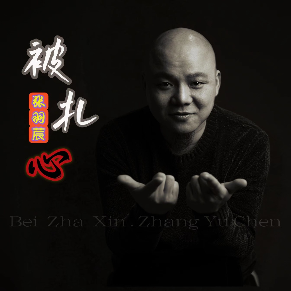 被扎心 (DJ heap九天版伴奏)