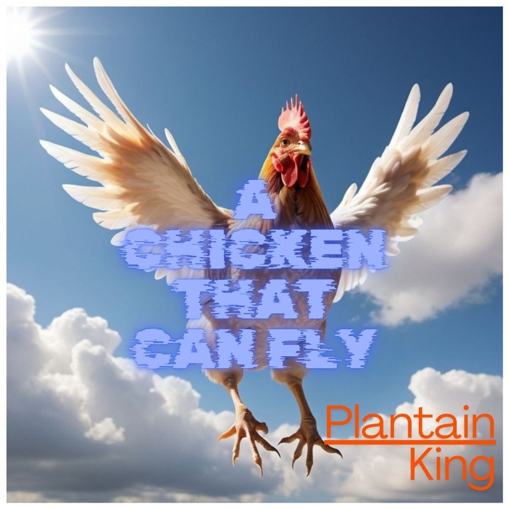A Chicken That Can Fly (Explicit)