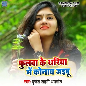 收听Brijesh Shahni Anmol的Fulwa ke Thriya Me Konay Jaibu歌词歌曲