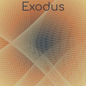 Album Exodus oleh Silvia Natiello-Spiller