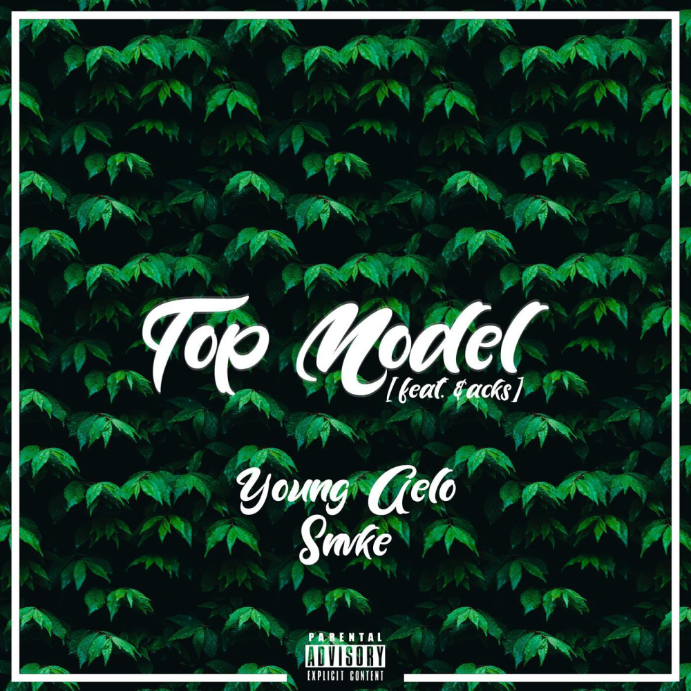 Top Model (feat. $acks) (Explicit)