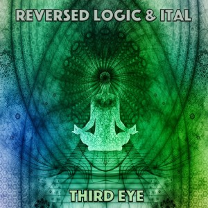 อัลบัม Third Eye ศิลปิน Reversed Logic