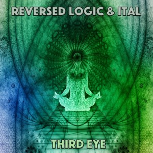 ดาวน์โหลดและฟังเพลง Third Eye พร้อมเนื้อเพลงจาก Reversed Logic