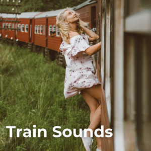 The White Noise Travelers的專輯Train Sounds