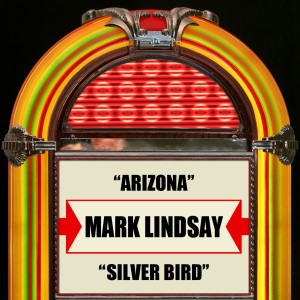 收聽Mark Lindsay的Arizona歌詞歌曲