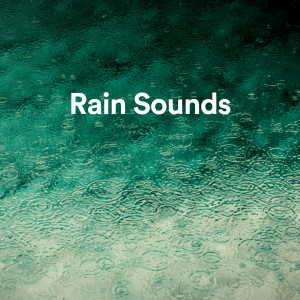 White Noise Sleep Music的专辑Rain Sounds (Calming rain sounds for sleep and relaxation)