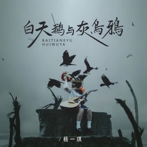 收聽楊一琪的白天鵝與灰烏鴉歌詞歌曲