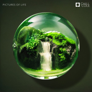 收听Chill Cole的Pictures of Life歌词歌曲