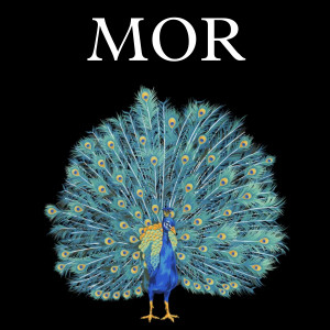 Album Mor (Slowed Reverb) from Rakesh rafukiya