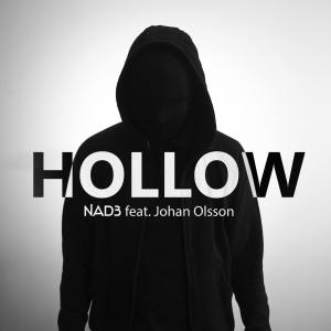 Dengarkan lagu Hollow (feat. Johan Olsson) (2017 Club Edit) nyanyian NAD3 dengan lirik