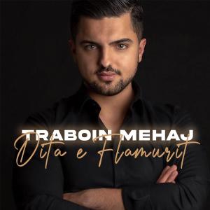 Listen to Dita e Flamurit song with lyrics from Traboin Mehaj