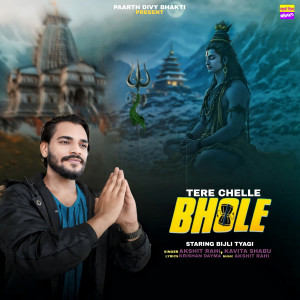 ดาวน์โหลดและฟังเพลง Tere Chele Bhole พร้อมเนื้อเพลงจาก Akshit Rahi