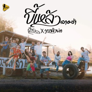 Listen to ขี้เหล้า [สามช่ามันส์ๆ] song with lyrics from ฝ้ายเมฆะ