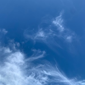 Album People singing (Chorus) from 