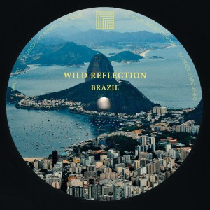 收聽Wild Reflection的Brazil (Divad Remix)歌詞歌曲