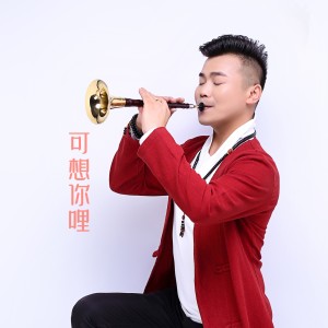 收聽蘇文的《可想你哩》嗩吶版 (完整版)歌詞歌曲