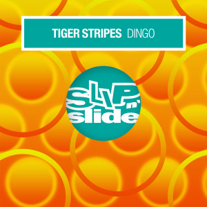 收聽Tiger Stripes的Dingo (Afro Dub)歌詞歌曲