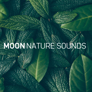 Album Zen Ocean oleh Moon Nature Sounds
