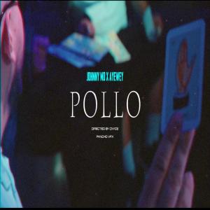 收聽Johnny Mo的Pollos (Explicit)歌詞歌曲