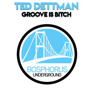 Ted Dettman的专辑Groove is Bitch