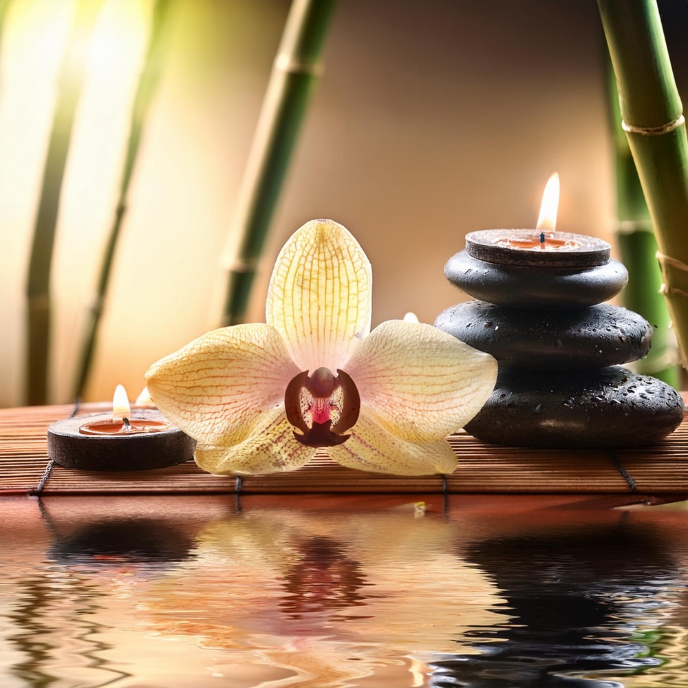 Calming Soundscapes Align