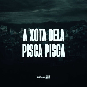 收聽DJ Ronaldo o Brabo的A XOTA DELA PISCA PISCA (Explicit)歌詞歌曲