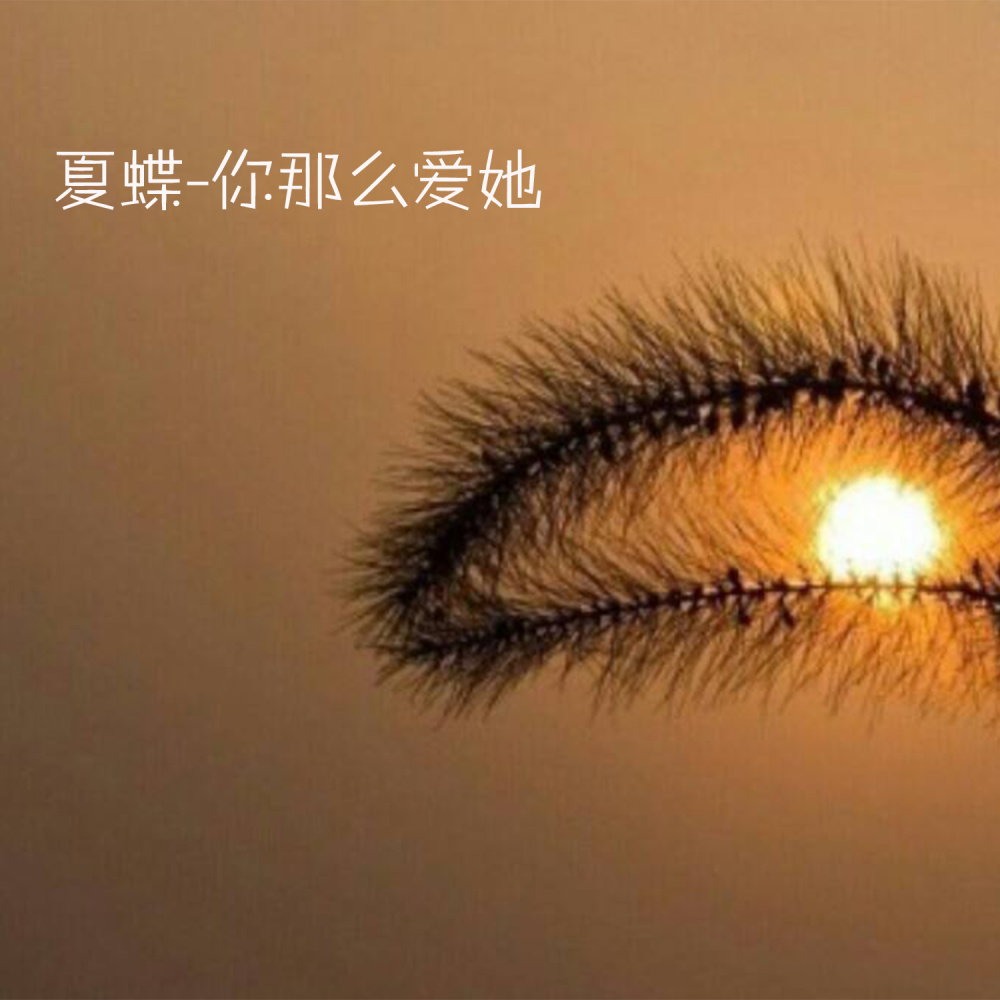 你那么爱她 (伴奏)