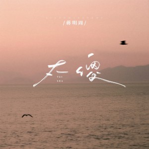 Listen to 太傻 (完整版) song with lyrics from 蒋明周