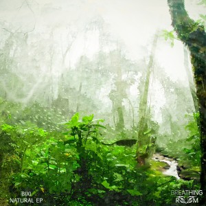 Listen to Natural song with lyrics from Bixi