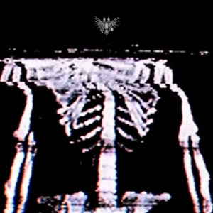 收聽White Punk的ColdStation歌詞歌曲