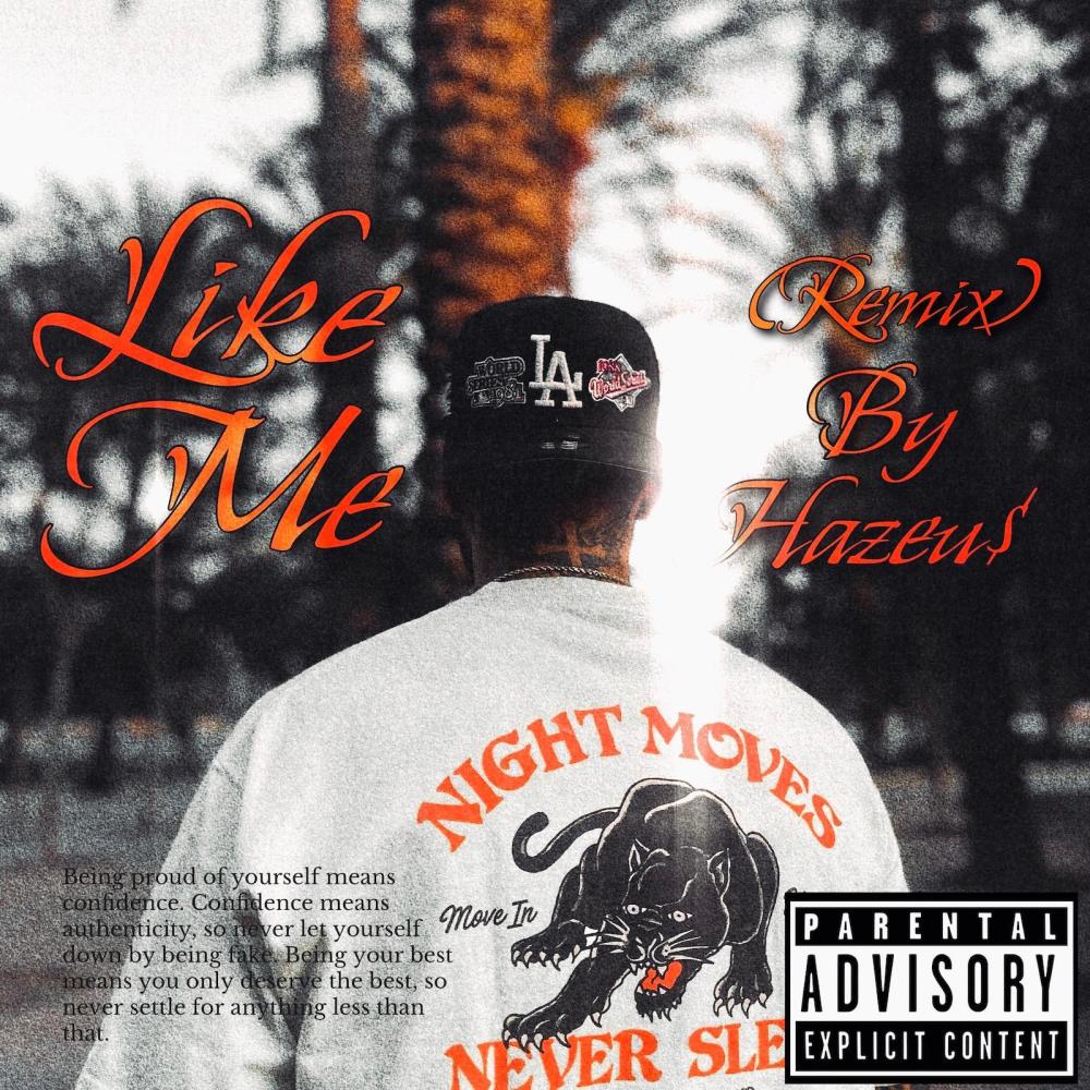 Like Me (Explicit)