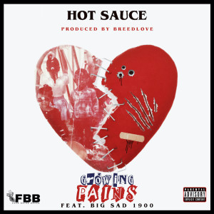 Listen to Growing Pains (Explicit) song with lyrics from Hot Sauce