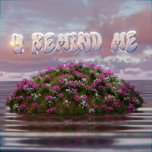 อัลบัม U REMIND ME ศิลปิน Robustt