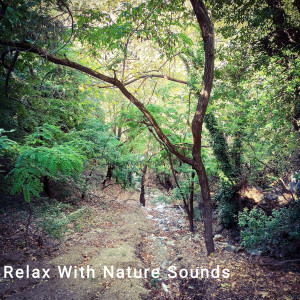 ดาวน์โหลดและฟังเพลง Mountain Summer Sounds พร้อมเนื้อเพลงจาก Relax