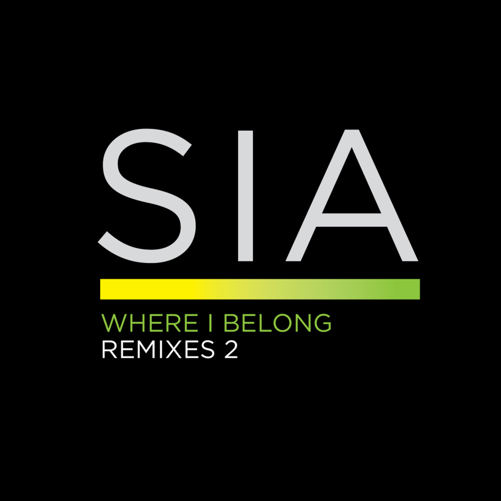 Where I Belong (Future Funk Squad 'Acidic-Funk' Dub)