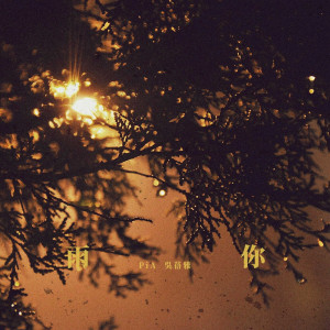 Dengarkan Yu Ni (feat. Kin Lee) lagu dari 吴蓓雅 dengan lirik