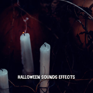 Scary Halloween Music的专辑Halloween Sounds Effects