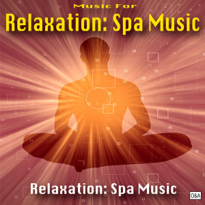 ดาวน์โหลดและฟังเพลง Spa Music พร้อมเนื้อเพลงจาก Relaxation Spa Music Masters