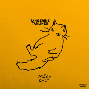 Listen to Ms. Golden Hour song with lyrics from Miso Colt